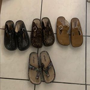 Alegría clog lot